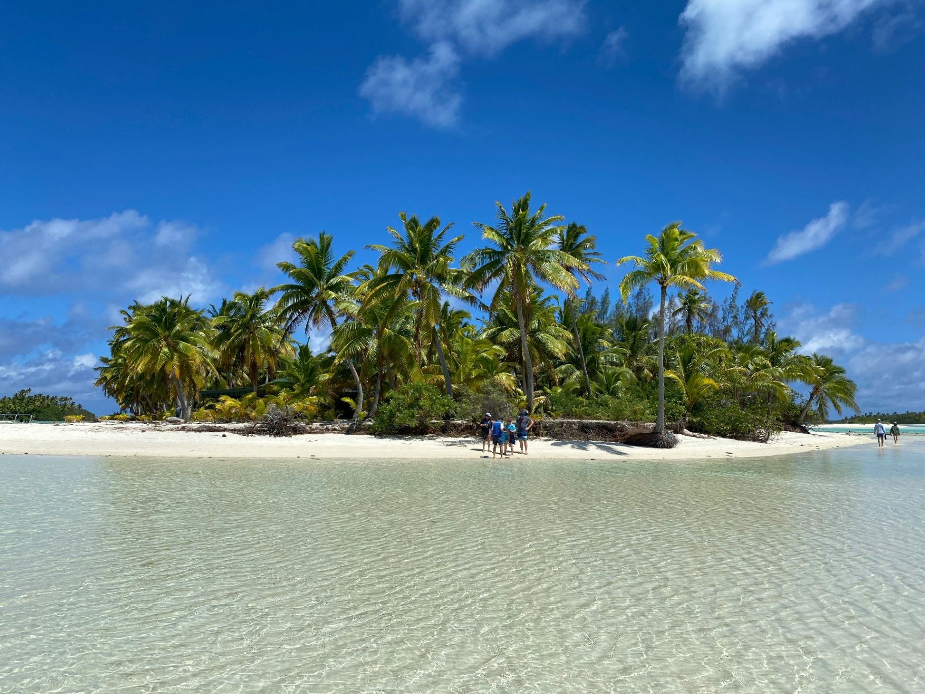 Palm island and shallow turquoise lagoon in Zanzibar